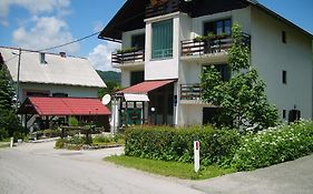 Guest House Raukar